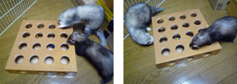 上とか、横とか