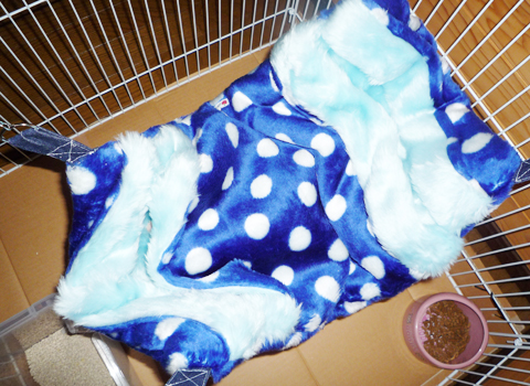 ビッグサイズですね