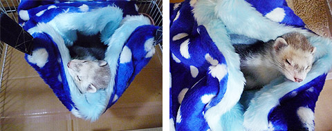 フワフワです。