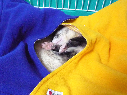 ちょっと寝てみました。