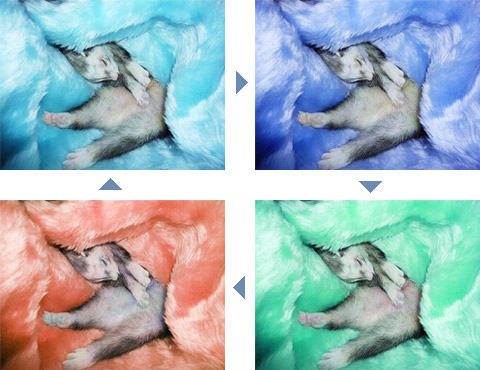 どんな仕組みなんでしょ