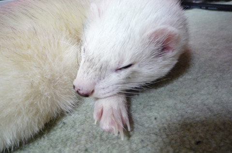 今度、起きますよ。