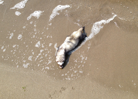 ガクブル ガクブル