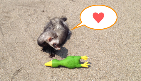 お気に入りのプピ人形です。 お気に入りのプピ人形です。