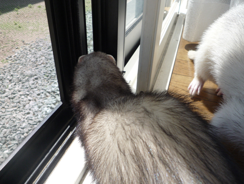 ここに入ろうかな…