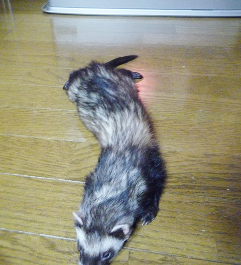 あ?たまんない♪