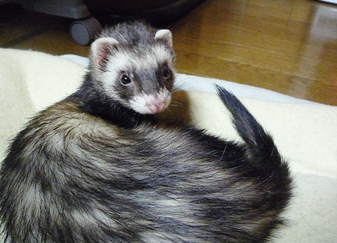 まだなんか寒い