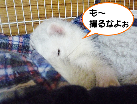 今はやめてくださいね