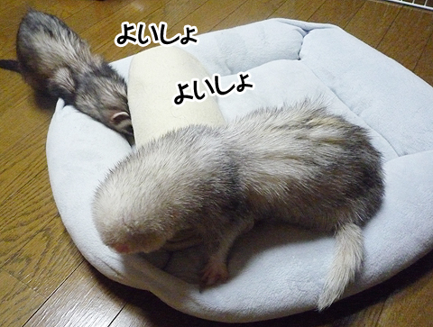 よいしょ、よいしょ！