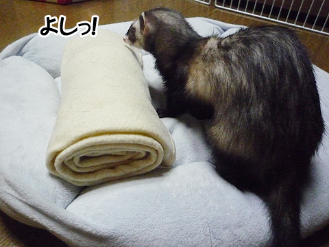 よしっ、ちゃんとたためたね