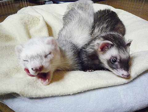 二人でのんびり