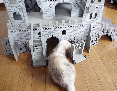 まずはボクはチェックです。