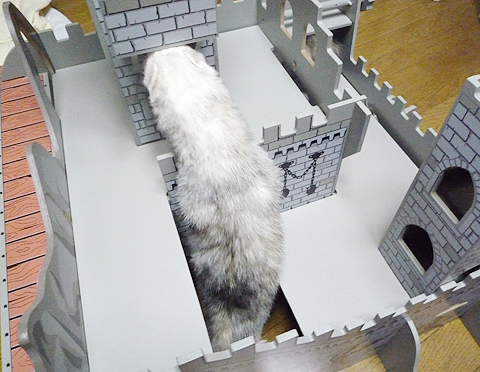 ちょっと狭いなぁ