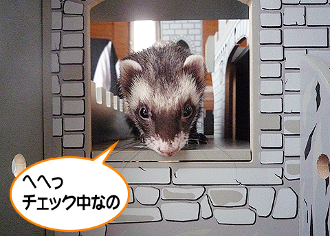 チェック中なんですよ