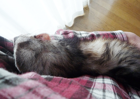 けっこう高いですね