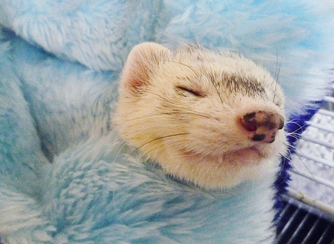 ふう?、疲れた…