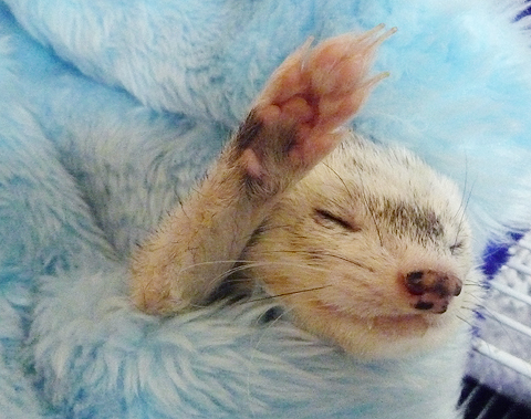 なんの意味もない！ハイ、Last Around Way！