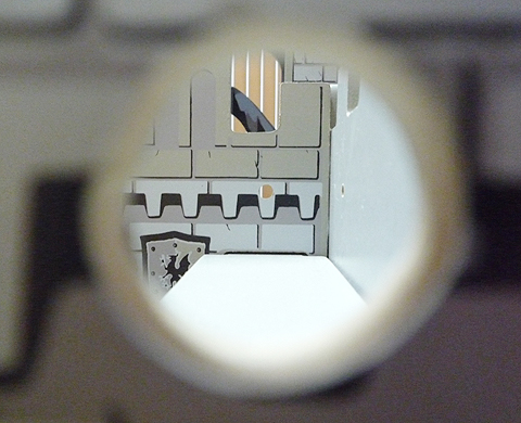 飼い主いるかな?？