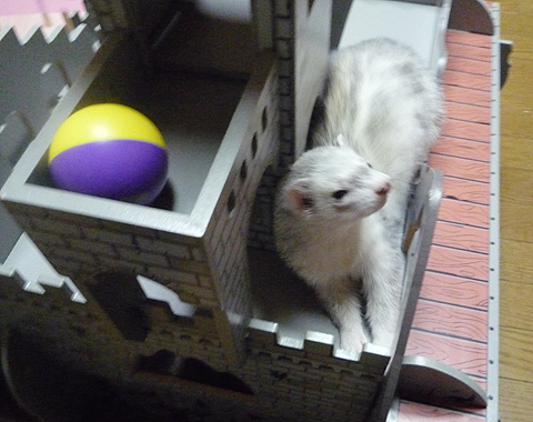 裏手になります