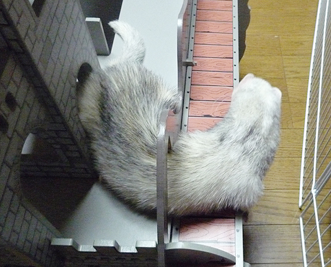 ここにもゲートが！