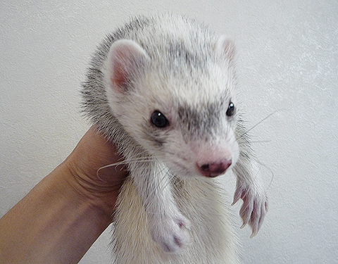 これから洗われます