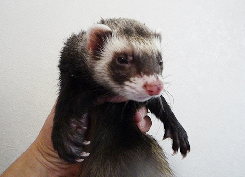 これからシャンプーです