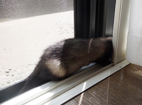 うんしょ、うんしょ