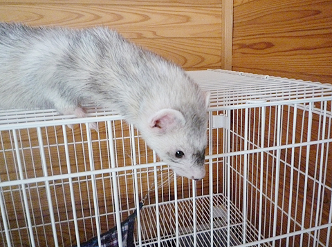 登ったはいいけど…