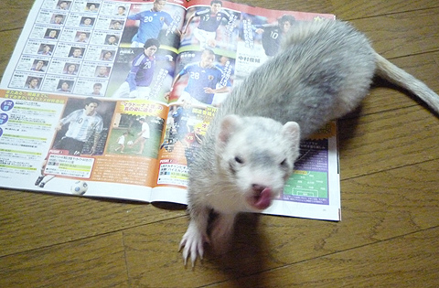 いや?、最高だったゼ