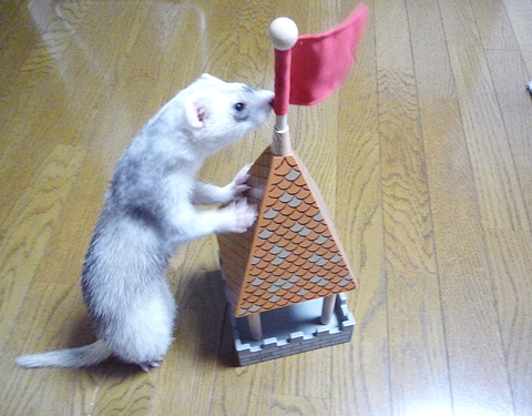 なんか、ちっちゃくなってね？