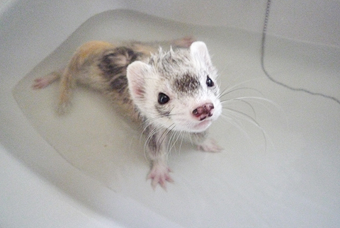 入れば、まあまあ気持ちいいですね。