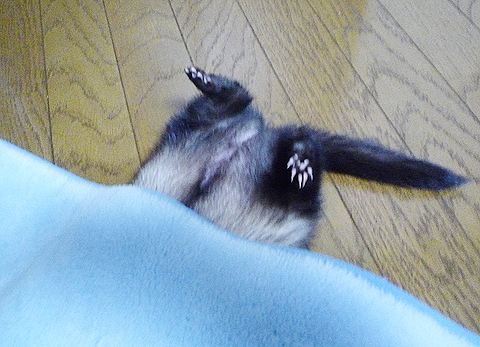 いいところにマットが…