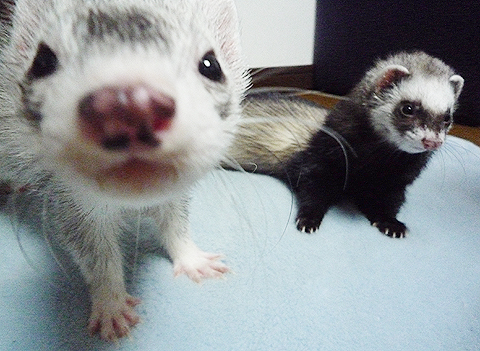 やあっ、元気だった？