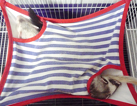 あべこべだね。