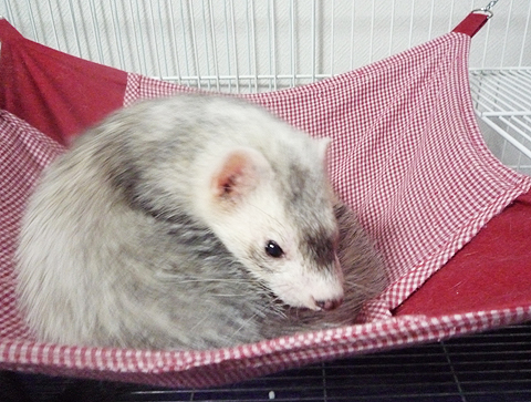 もう寝るんだってば