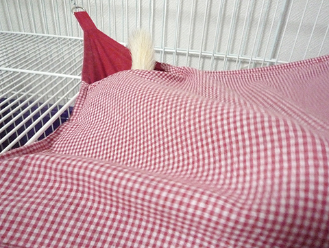 ほんとに寝るんだってば