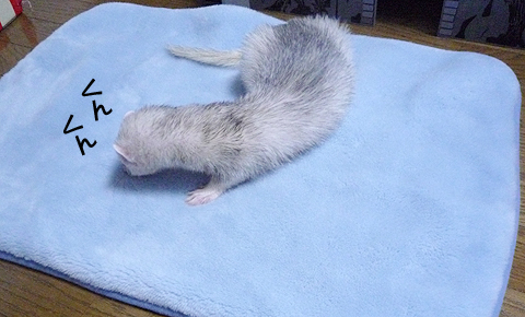 どこから臭うんだろ？