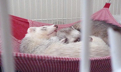 ちょっと近づきます…