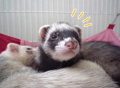 あっ、ハルが起きちゃった