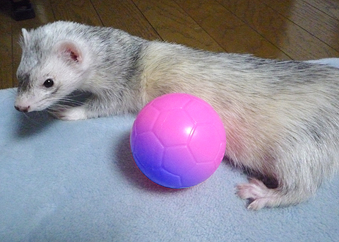 ボールの色がぁぁッ!!