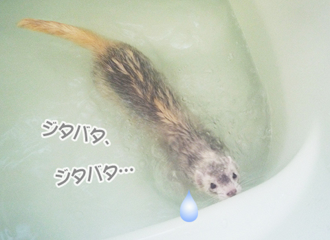 も、もう限界です！