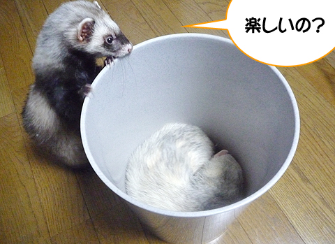 おおきなお世話だよ