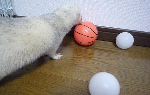 これもいいなぁ…