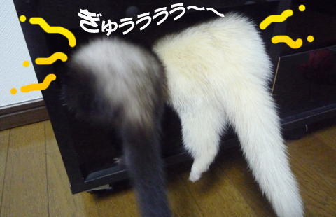 うぐっ、狭い！