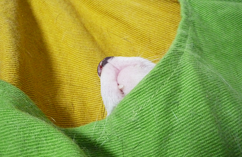 ご飯がおいしい?♪