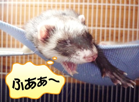 目覚めました?。