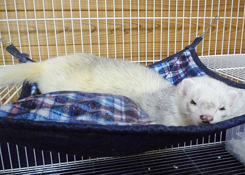 ？何を言ってるの？