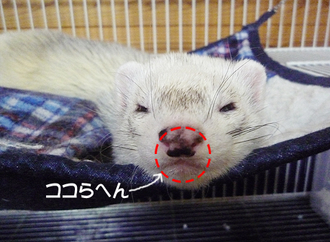 認めないゾ！！