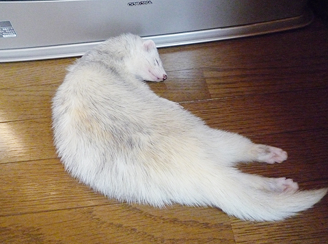 ちょっと寝返りうったりして…