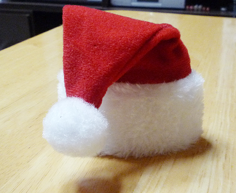 これは？サンタの…
